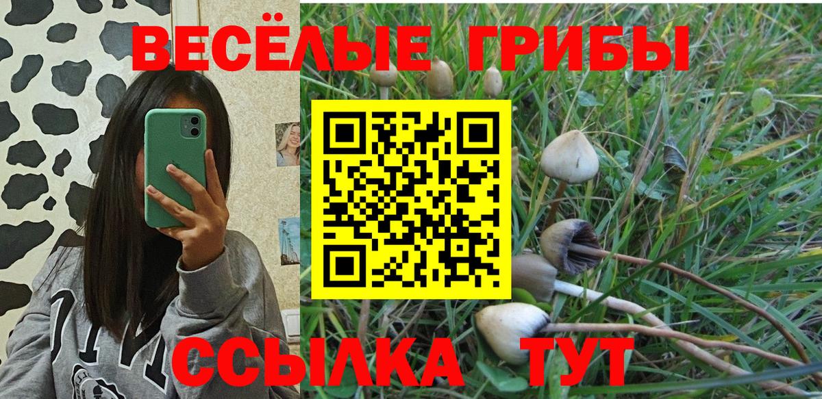 Муром  Галлюциногенные грибы Psilocybe  Вход с VPN  Галлюциногенные грибы прущие грибы 