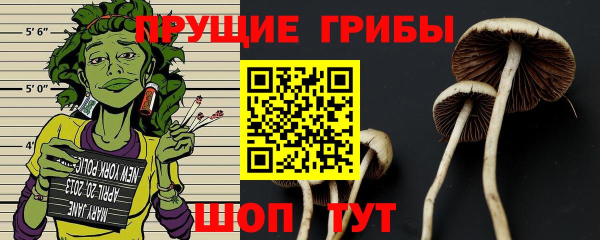 Псилоцибиновые грибы прущие грибы Муром