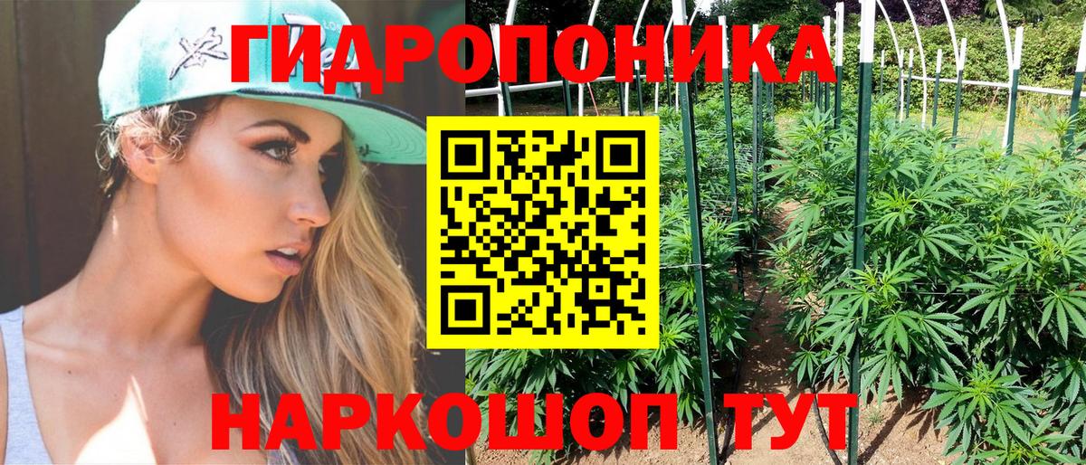 Каннабис планчик Муром